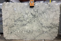 Siena Ivory Polished