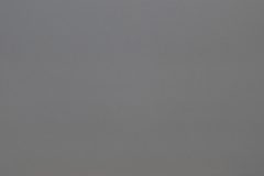 Pental Quartz Paloma honed