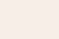 Pental Quartz Seashell polished