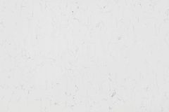 Pental Quartz Venatino polished